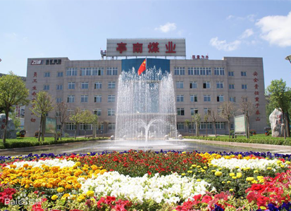 亭南煤業有限責任公司(圖1)
